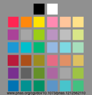 Screen Shot color palette edit