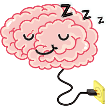 Learning and memory: the role of sleep, exercise, and nutrition